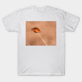 Queen Butterfly On An Autumn Day T-Shirt